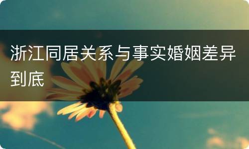 浙江同居关系与事实婚姻差异到底