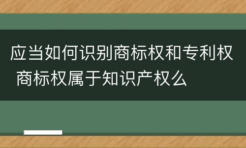 应当如何识别商标权和专利权 商标权属于知识产权么