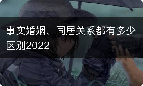 事实婚姻、同居关系都有多少区别2022