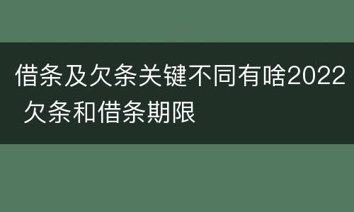 借条及欠条关键不同有啥2022 欠条和借条期限