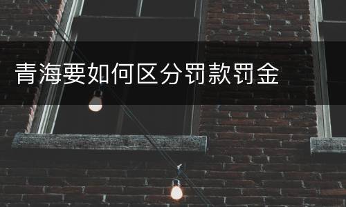 青海要如何区分罚款罚金