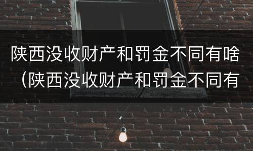 陕西没收财产和罚金不同有啥（陕西没收财产和罚金不同有啥影响）