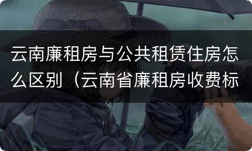 云南廉租房与公共租赁住房怎么区别（云南省廉租房收费标准）
