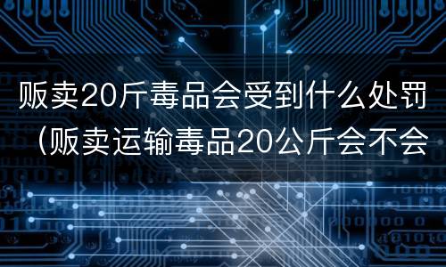 贩卖20斤毒品会受到什么处罚（贩卖运输毒品20公斤会不会判死刑吗）