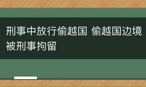 刑事中放行偷越国 偷越国边境被刑事拘留