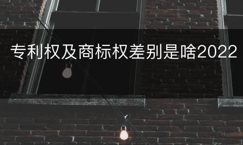 专利权及商标权差别是啥2022