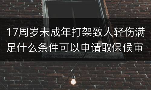 17周岁未成年打架致人轻伤满足什么条件可以申请取保候审的