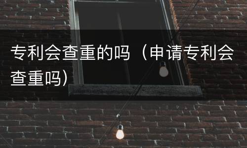 专利会查重的吗（申请专利会查重吗）