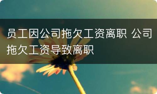 员工因公司拖欠工资离职 公司拖欠工资导致离职