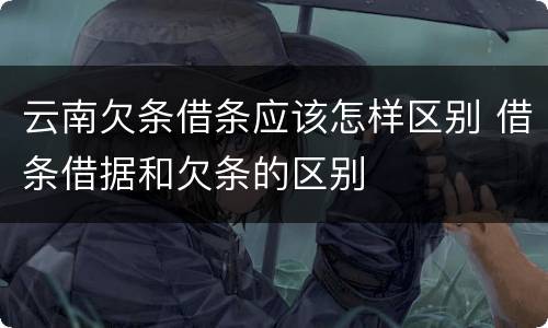 云南欠条借条应该怎样区别 借条借据和欠条的区别