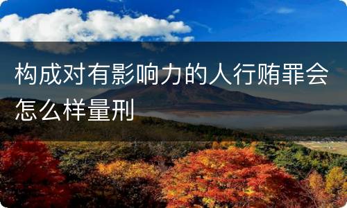 构成对有影响力的人行贿罪会怎么样量刑