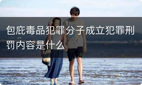 包庇毒品犯罪分子成立犯罪刑罚内容是什么