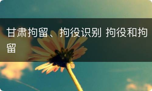 甘肃拘留、拘役识别 拘役和拘留