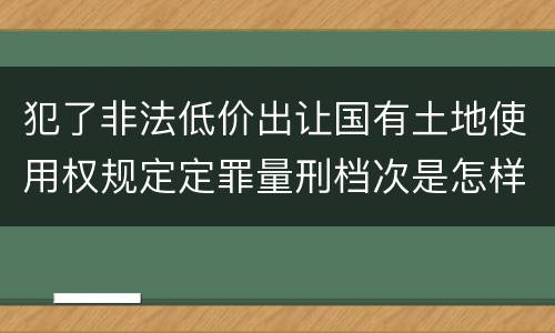 犯了非法低价出让国有土地使用权规定定罪量刑档次是怎样