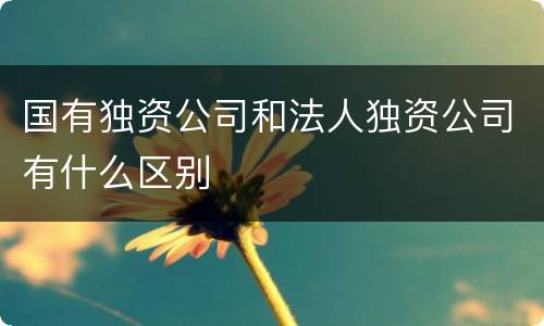 国有独资公司和法人独资公司有什么区别