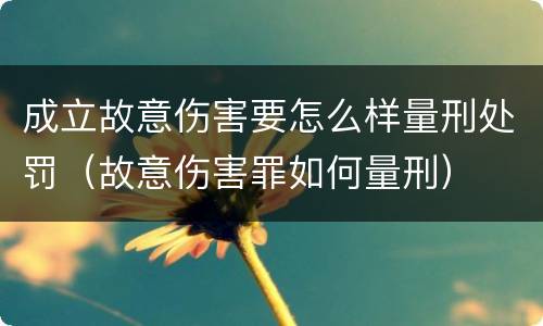 成立故意伤害要怎么样量刑处罚（故意伤害罪如何量刑）