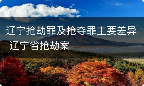 辽宁抢劫罪及抢夺罪主要差异 辽宁省抢劫案