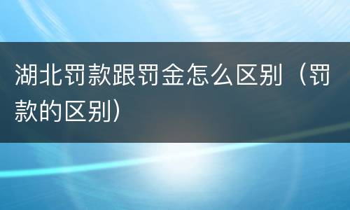 湖北罚款跟罚金怎么区别（罚款的区别）