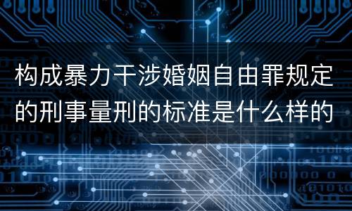 构成暴力干涉婚姻自由罪规定的刑事量刑的标准是什么样的