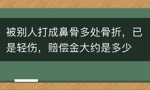 被别人打成鼻骨多处骨折，已是轻伤，赔偿金大约是多少
