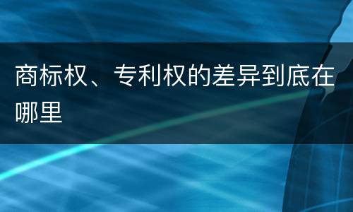 商标权、专利权的差异到底在哪里
