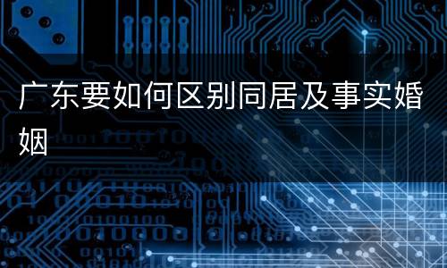 广东要如何区别同居及事实婚姻