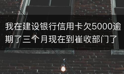 我在建设银行信用卡欠5000逾期了三个月现在到崔收部门了他们要起诉我应该怎么办