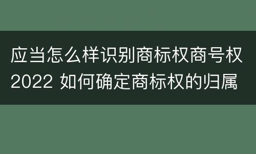 应当怎么样识别商标权商号权2022 如何确定商标权的归属