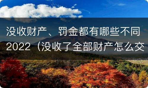 没收财产、罚金都有哪些不同2022（没收了全部财产怎么交罚款）