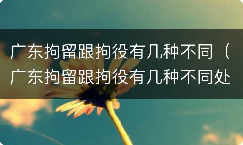 广东拘留跟拘役有几种不同（广东拘留跟拘役有几种不同处罚）