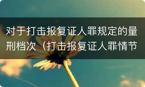 对于打击报复证人罪规定的量刑档次（打击报复证人罪情节严重）