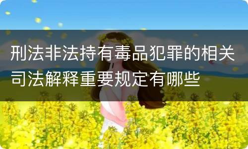 刑法非法持有毒品犯罪的相关司法解释重要规定有哪些