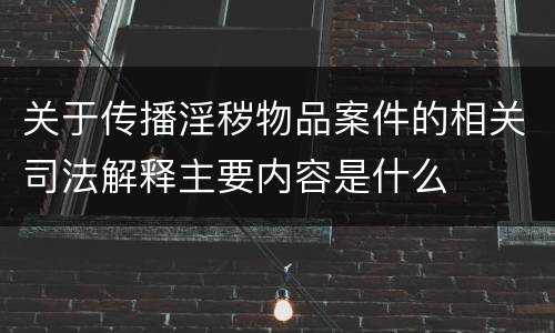 关于传播淫秽物品案件的相关司法解释主要内容是什么