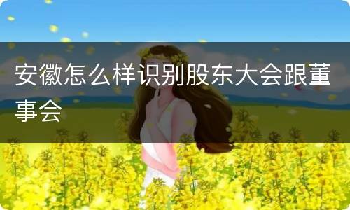 安徽怎么样识别股东大会跟董事会