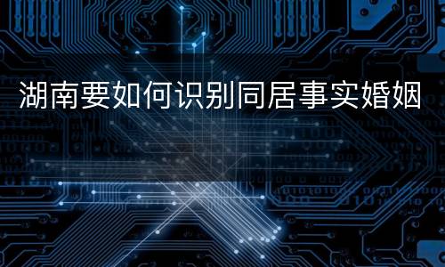 湖南要如何识别同居事实婚姻