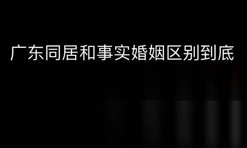 广东同居和事实婚姻区别到底