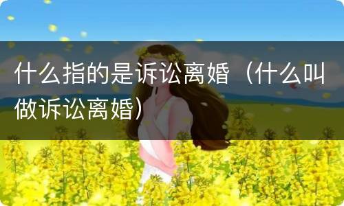 什么指的是诉讼离婚（什么叫做诉讼离婚）