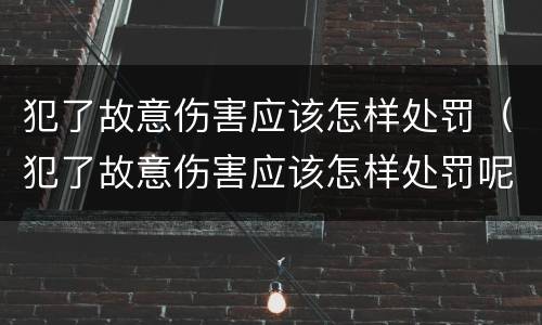 犯了故意伤害应该怎样处罚（犯了故意伤害应该怎样处罚呢）
