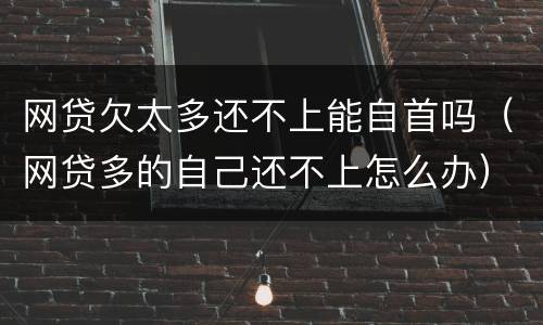 网贷欠太多还不上能自首吗（网贷多的自己还不上怎么办）