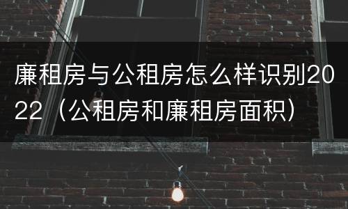 廉租房与公租房怎么样识别2022（公租房和廉租房面积）