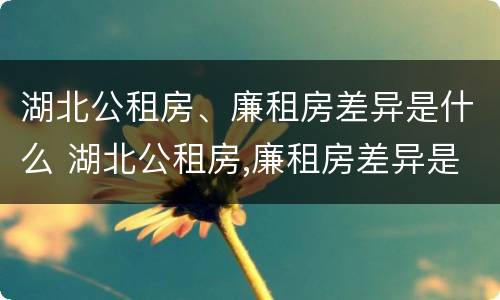 湖北公租房、廉租房差异是什么 湖北公租房,廉租房差异是什么意思