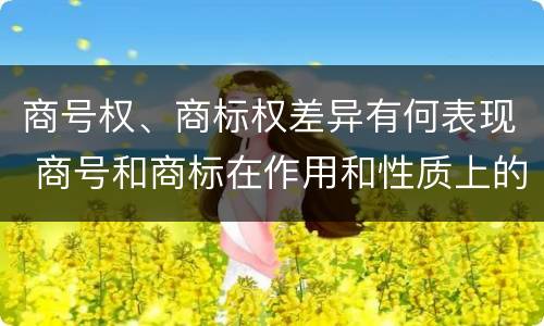 商号权、商标权差异有何表现 商号和商标在作用和性质上的区别