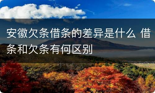 安徽欠条借条的差异是什么 借条和欠条有何区别