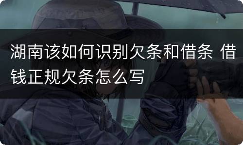湖南该如何识别欠条和借条 借钱正规欠条怎么写