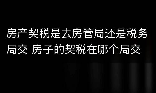 房产契税是去房管局还是税务局交 房子的契税在哪个局交