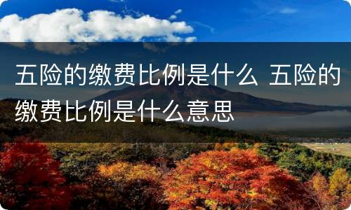 五险的缴费比例是什么 五险的缴费比例是什么意思