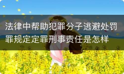 法律中帮助犯罪分子逃避处罚罪规定定罪刑事责任是怎样