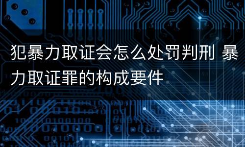 犯暴力取证会怎么处罚判刑 暴力取证罪的构成要件