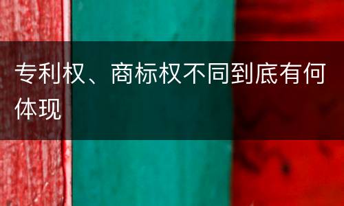 专利权、商标权不同到底有何体现