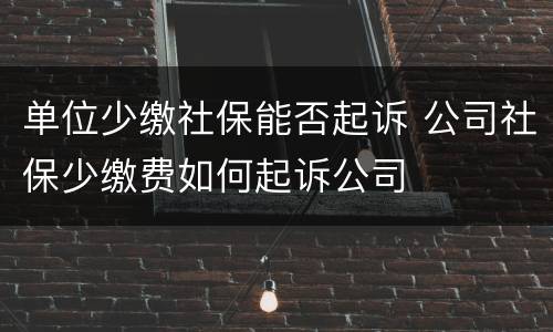 单位少缴社保能否起诉 公司社保少缴费如何起诉公司